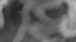 Areál koupaliště Holešov