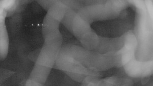 Zámecké koupaliště Holešov - Areál koupaliště Holešov - 24.2.2026 v 00:45 Zámecké koupaliště Holešov - Areál koupaliště Holešov - 24.2.2026 v 00:45