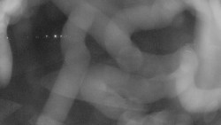 Areál koupaliště Holešov