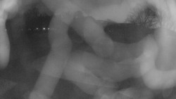 Areál koupaliště Holešov