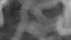 Areál koupaliště Holešov