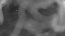 Areál koupaliště Holešov