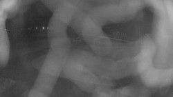 Areál koupaliště Holešov