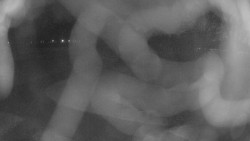 Areál koupaliště Holešov