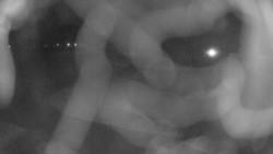 Areál koupaliště Holešov