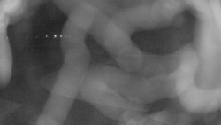 Areál koupaliště Holešov