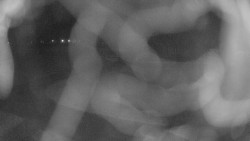 Areál koupaliště Holešov