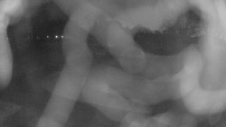 Areál koupaliště Holešov