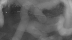 Areál koupaliště Holešov