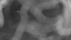 Areál koupaliště Holešov