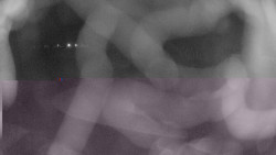 Areál koupaliště Holešov