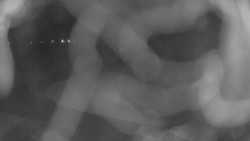 Areál koupaliště Holešov