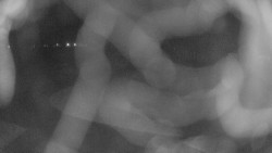 Areál koupaliště Holešov