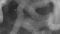 Areál koupaliště Holešov