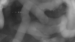 Areál koupaliště Holešov