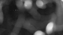 Areál koupaliště Holešov