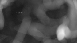 Areál koupaliště Holešov