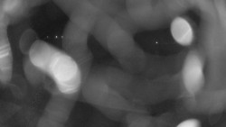 Areál koupaliště Holešov