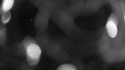 Areál koupaliště Holešov