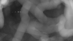 Areál koupaliště Holešov