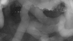 Areál koupaliště Holešov