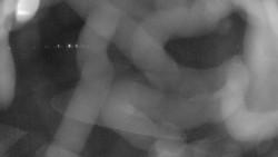 Areál koupaliště Holešov