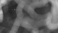 Areál koupaliště Holešov