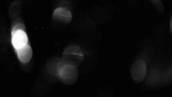 Areál koupaliště Holešov