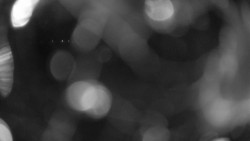 Areál koupaliště Holešov