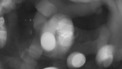 Areál koupaliště Holešov