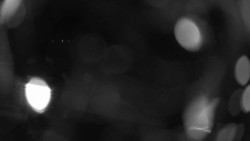 Areál koupaliště Holešov