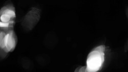 Areál koupaliště Holešov