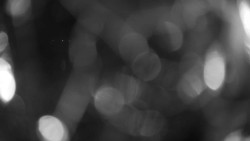 Areál koupaliště Holešov