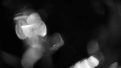 Areál koupaliště Holešov