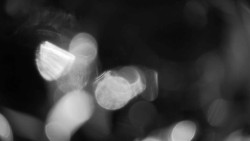 Areál koupaliště Holešov