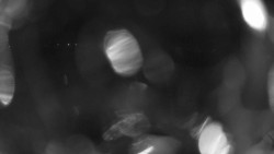 Areál koupaliště Holešov