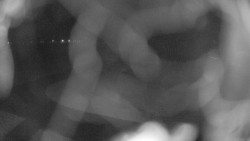 Areál koupaliště Holešov