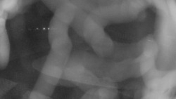 Areál koupaliště Holešov