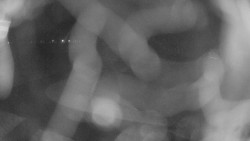 Areál koupaliště Holešov