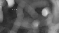 Areál koupaliště Holešov