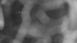 Areál koupaliště Holešov