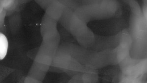 Zámecké koupaliště Holešov - Areál koupaliště Holešov - 27.3.2026 v 02:45 Zámecké koupaliště Holešov - Areál koupaliště Holešov - 27.3.2026 v 02:45