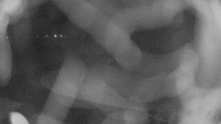 Areál koupaliště Holešov