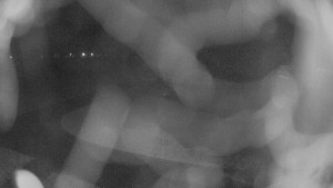 Zámecké koupaliště Holešov - Areál koupaliště Holešov - 27.3.2026 v 03:00 Zámecké koupaliště Holešov - Areál koupaliště Holešov - 27.3.2026 v 03:00