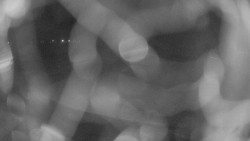 Areál koupaliště Holešov