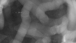 Areál koupaliště Holešov