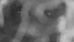 Areál koupaliště Holešov