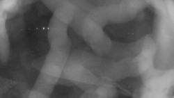 Areál koupaliště Holešov