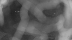 Areál koupaliště Holešov