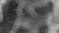 Areál koupaliště Holešov